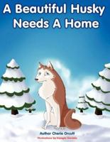 A Beautiful Husky Needs a Home