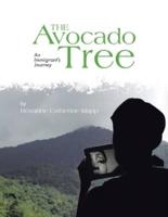 The Avocado Tree: An Immigrant's Journey