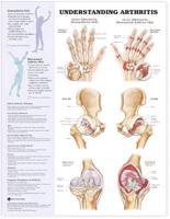 Rheumatology 3-Chart Set