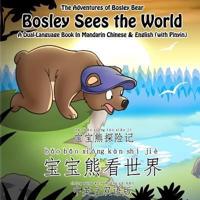 Bosley Sees the World