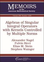 Algebras of Singular Integral Operators With Kernels Controlled by Multiple Norms