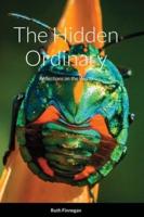 The hidden ordinary: Reflections on the world