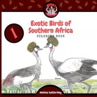 Exotic Birds of Southern Africa