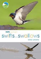 Swifts and Swallows