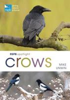 Crows