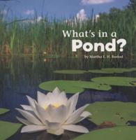 What's in a Pond?