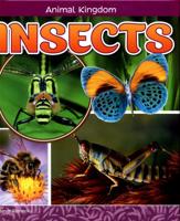 Insects