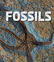 Fossils