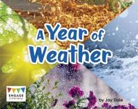 A Year of Weather