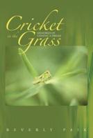 Cricket in the Grass: Memories of Chasing a Dream