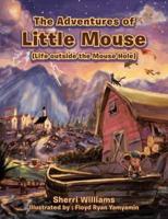 The Adventures of Little Mouse: (Life Outside the Mouse Hole)