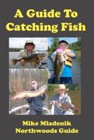 A Guide to Catching Fish