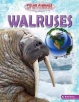 Walruses