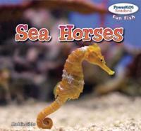 Sea Horses