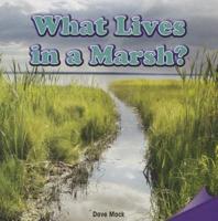 What Lives in a Marsh?
