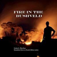 Fire in the Bushveld