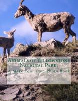 Animals of Yellowstone National Park
