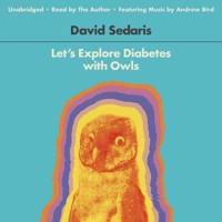 Let's Explore Diabetes With Owls Lib/E