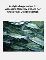 Analytical Approaches to Assessing Recovery Options for Snake River Chinook Salmon