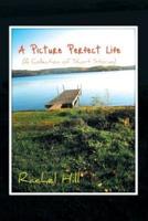 A Picture Perfect Life: (A Collection of Short Stories)