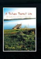 A Picture Perfect Life: (A Collection of Short Stories)