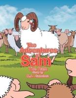 The Adventures of Sam The Ram