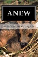Anew: The Scattered Seeds Tales from the 'Great Melting Pot' Collection