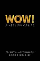 Wow!: A Meaning of Life