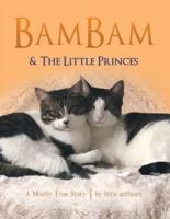 Bambam & the Little Princes: A Mostly True Story