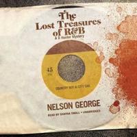 The Lost Treasures of R&B Lib/E