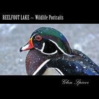 Reelfoot Lake Wildlife Portraits