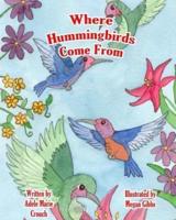 Where Hummingbirds Come From