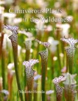 Carnivorous Plants in the Wilderness