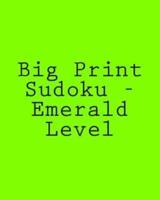 Big Print Sudoku - Emerald Level