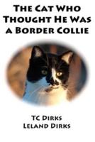 The Cat Who Thought He Was a Border Collie