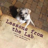Lessons from the Lab