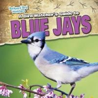 A Bird Watcher's Guide to Blue Jays