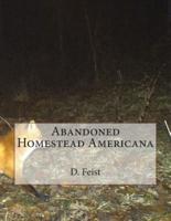 Abandoned Homestead Americana
