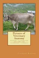 Pictures of Veterinary Anatomy