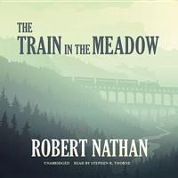 The Train in the Meadow