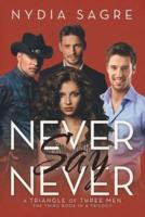 Never Say Never: A Triangle of Three Men The Third book in a Trilogy