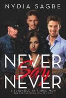 Never Say Never: A Triangle of Three Men The second book in a Trilogy