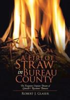 A Fire of Straw in Bureau County: The Forgotten Utopian Dream of Lamoille's Rosemont Domain