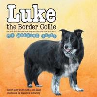 Luke the Border Collie: My Working Years
