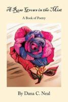 A Rose Grows in the Mist: A Book of Poetry