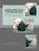 Animal Photoons Work Better Than Antidepressants