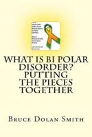 What Is Bi Polar Disorder? Putting the Pieces Together