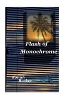 Flash of Monochrome