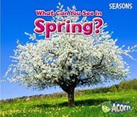 What Can You See in Spring?