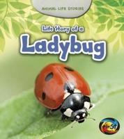 Life Story of a Ladybug